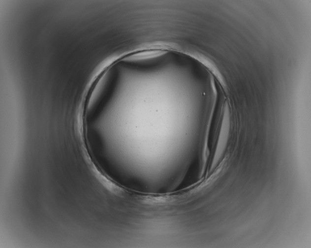 X0000112361054200908271249