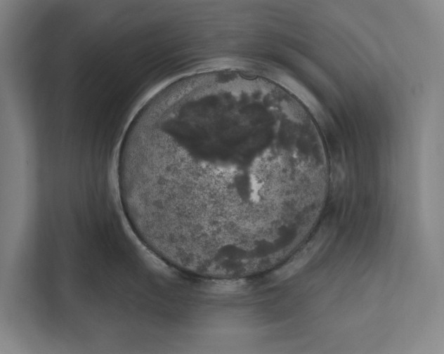 X0000112361055200908271249