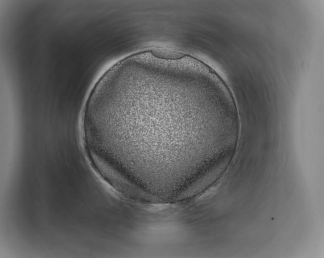 X0000112361056200908271249