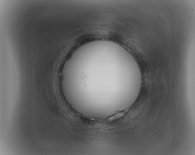 X0000112361057200908271249