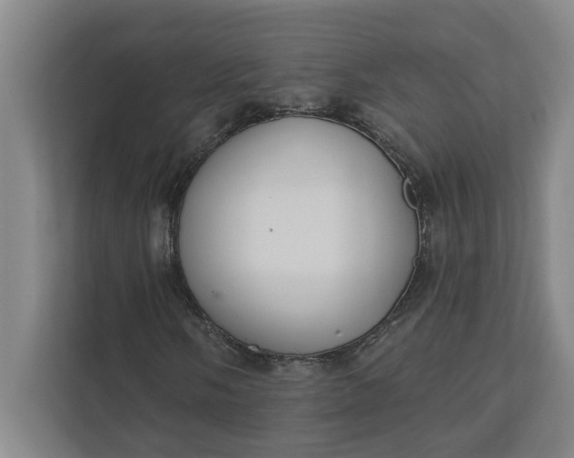 X0000112361058200908271249