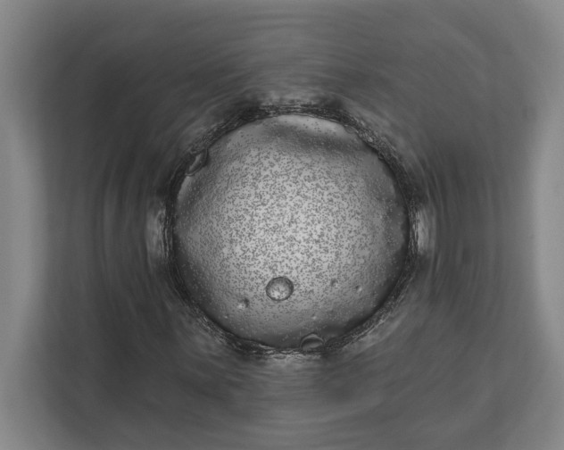 X0000112361059200908271249