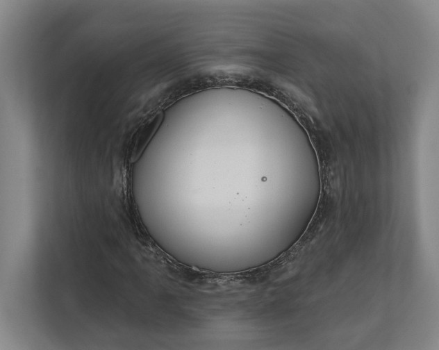 X0000112361061200908271249