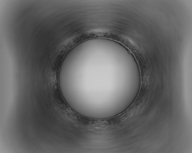 X0000112361062200908271249