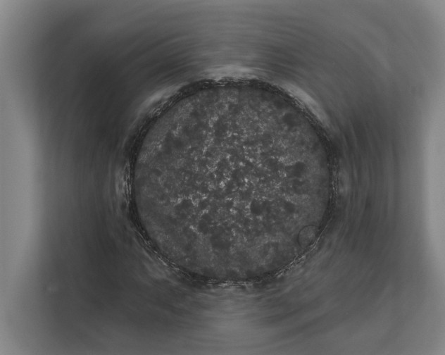 X0000112361063200908271249