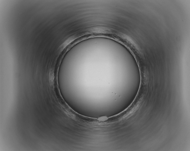 X0000112361065200908271249