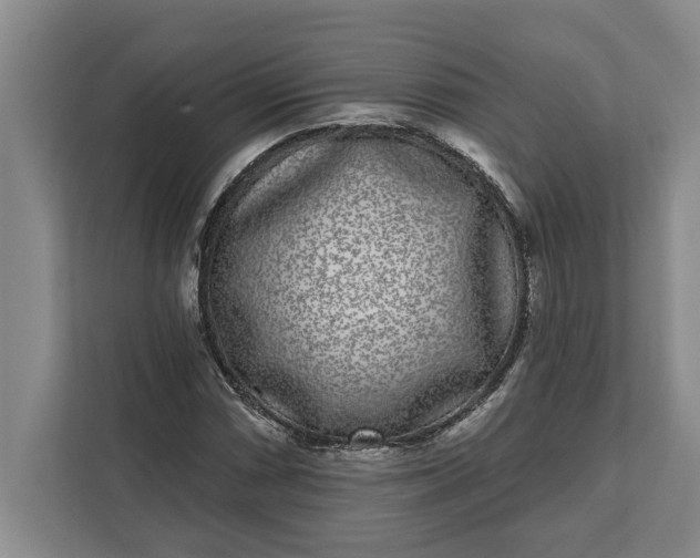 X0000112361066200908271248