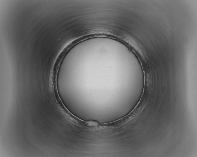 X0000112361068200908271248