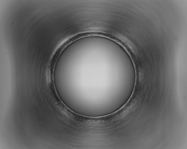 X0000112361069200908271248