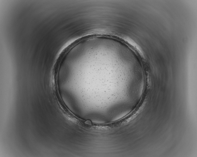 X0000112361070200908271248