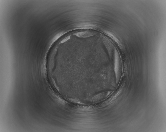 X0000112361071200908271248