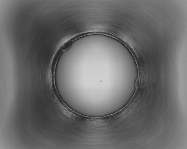 X0000112361072200908271248