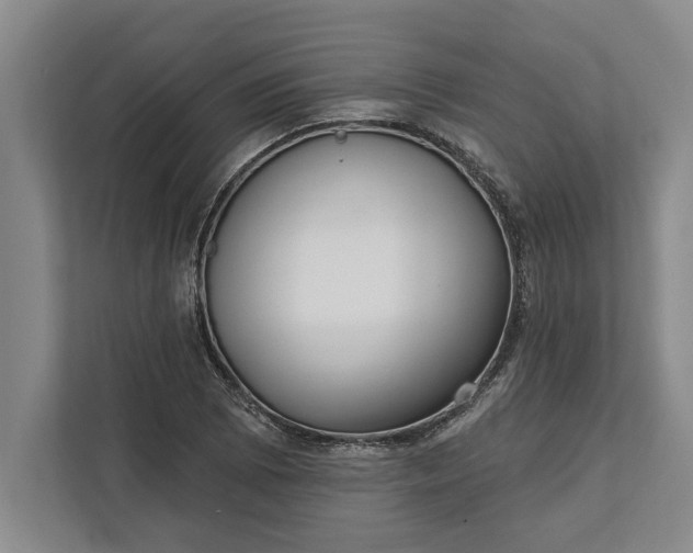 X0000112361073200908271248