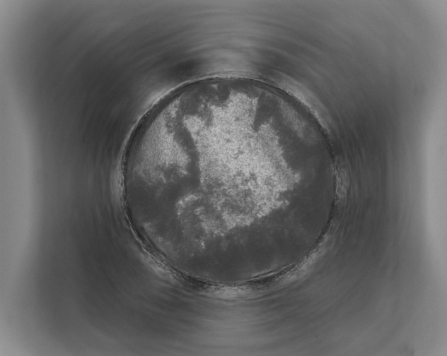 X0000112361074200908271248