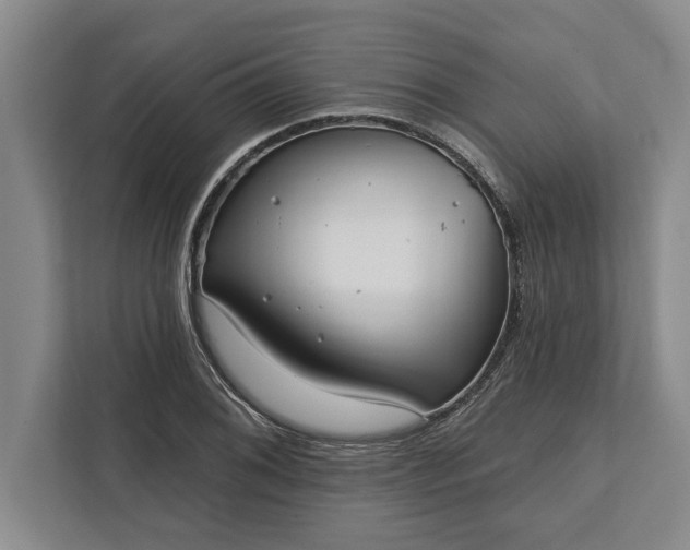 X0000112361076200908271248