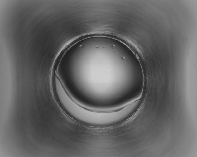 X0000112361077200908271248