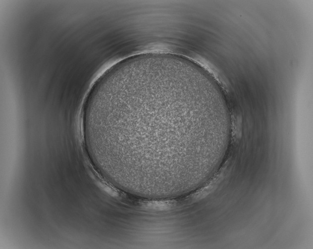 X0000112361078200908271248