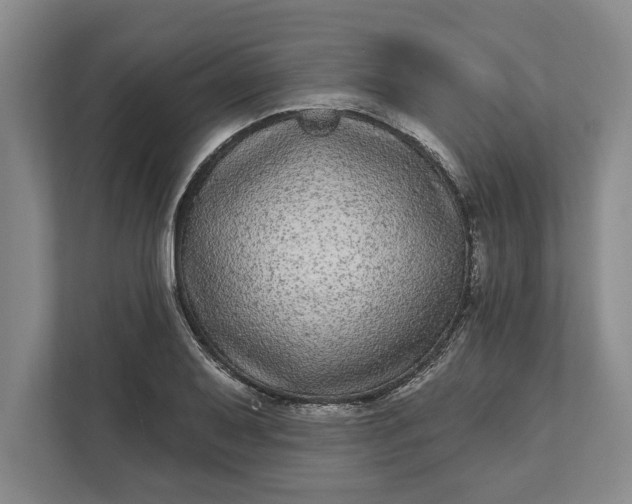 X0000112361079200908271248