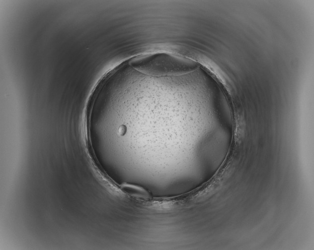 X0000112361080200908271248