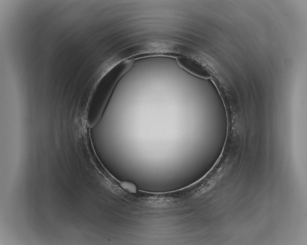 X0000112361081200908271248