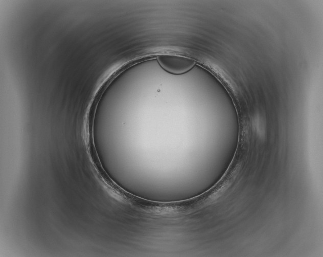 X0000112361082200908271248