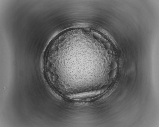 X0000112361083200908271248