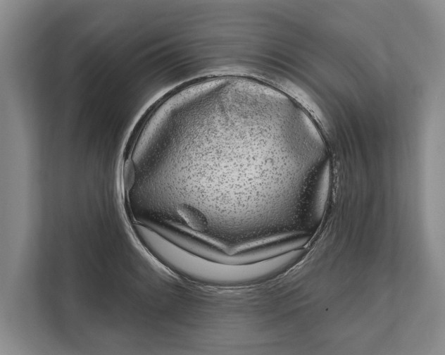 X0000112361084200908271248