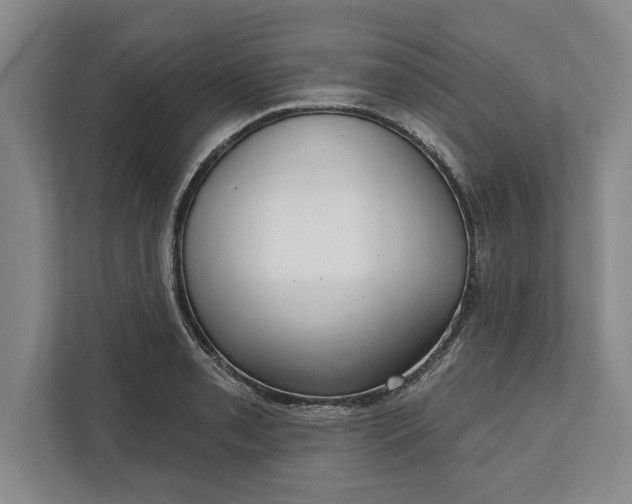 X0000112361085200908271248