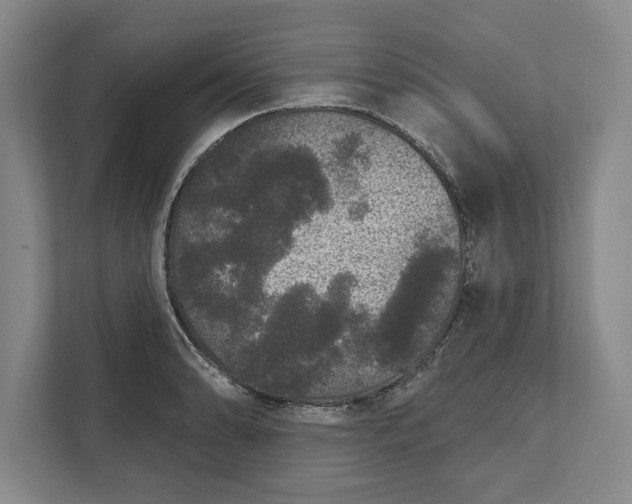 X0000112361086200908271248