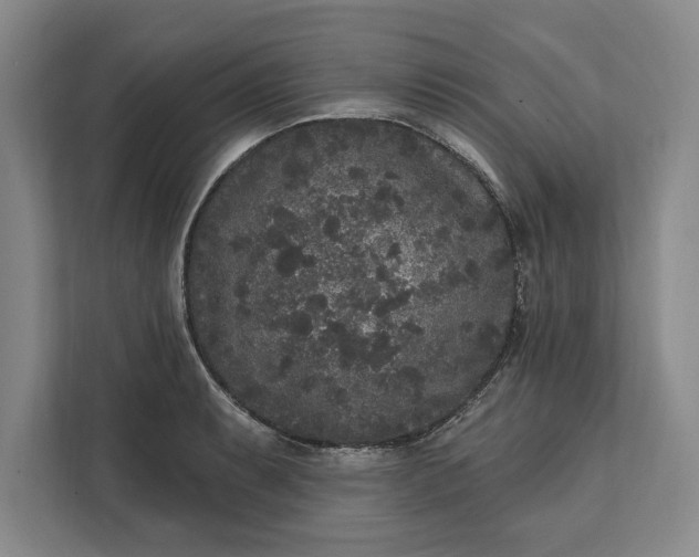 X0000112361087200908271248