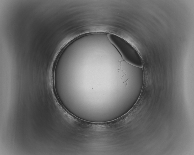 X0000112361088200908271248