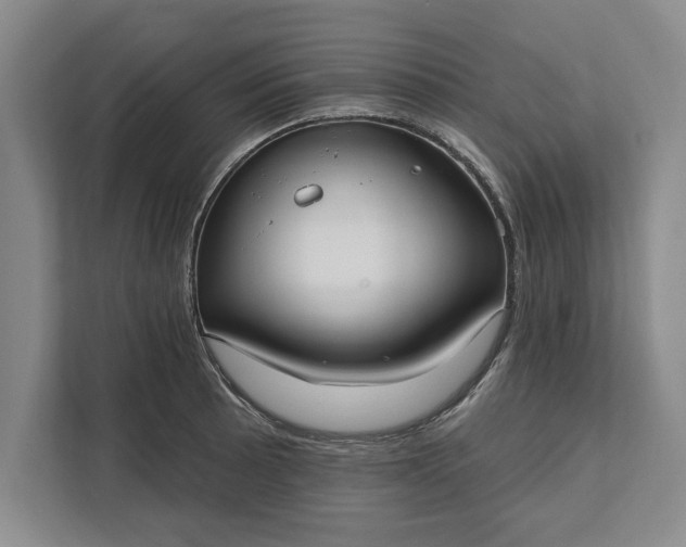 X0000112361089200908271248