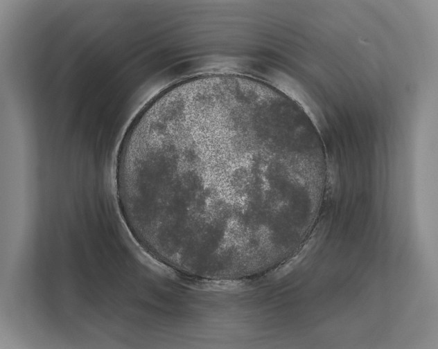 X0000112361090200908271248