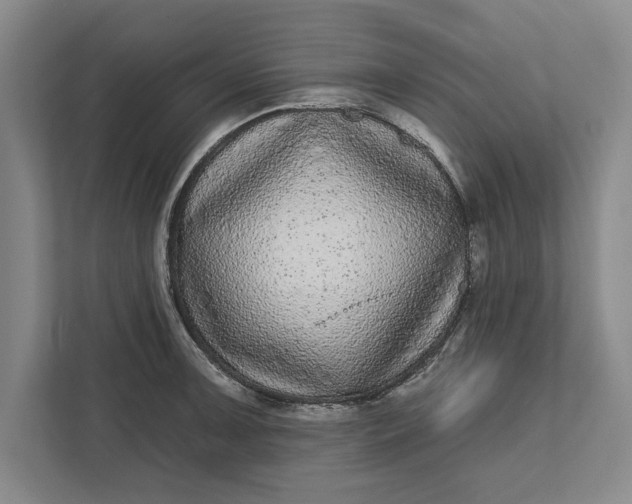 X0000112361091200908271248