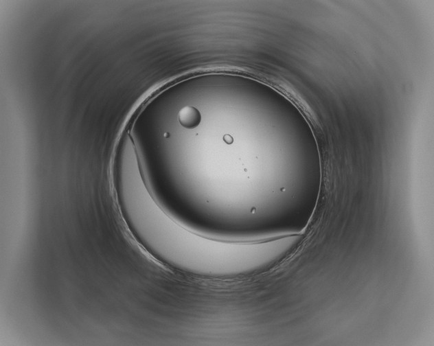 X0000112361092200908271248