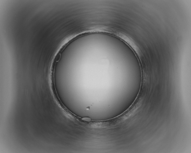 X0000112361093200908271248