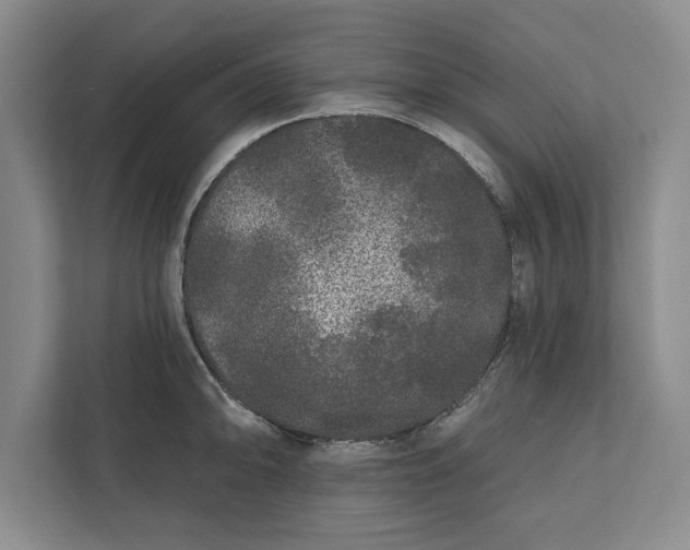 X0000112361094200908271248