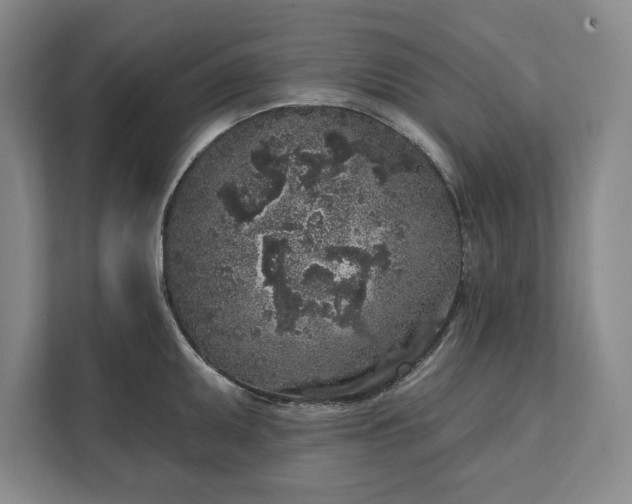 X0000112361095200908271248