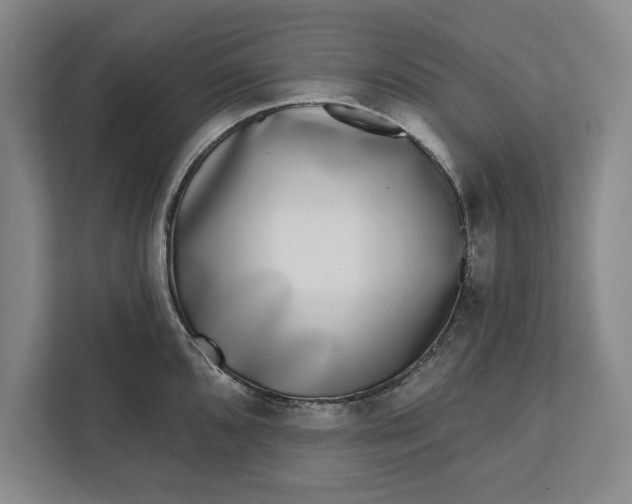 X0000112361096200908271248