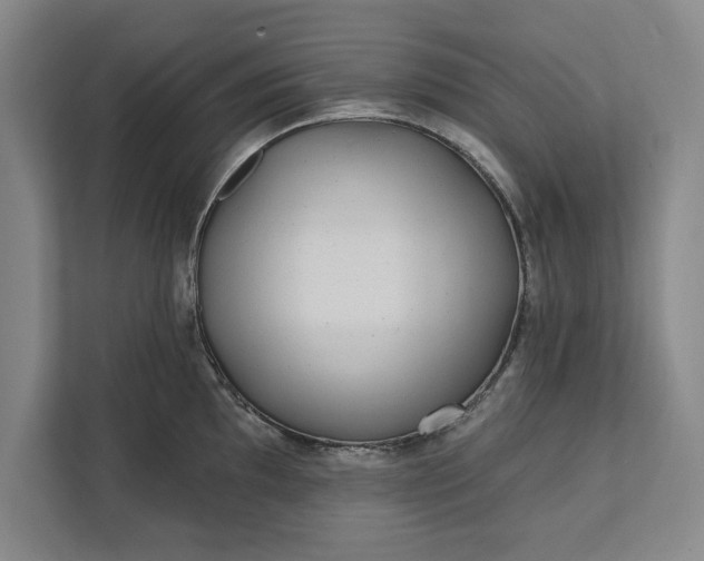 X0000112361097200908271248