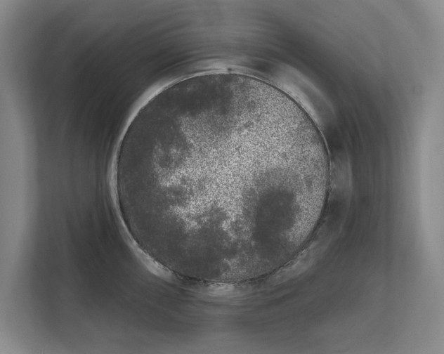 X0000112361098200908271248