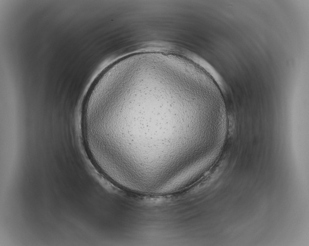 X0000112361099200908271248