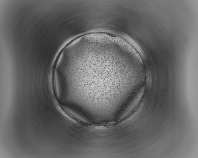 X0000112361100200908271248