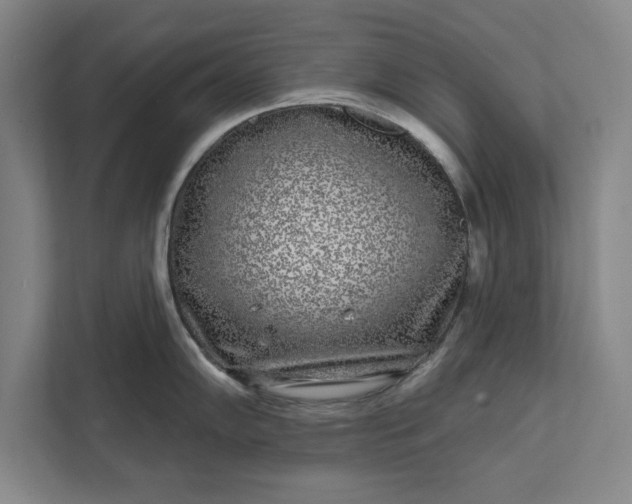 X0000112361102200908271248