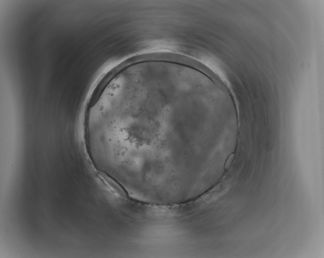 X0000112361104200908271248