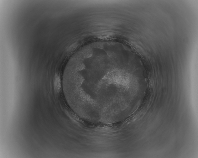 X0000112361106200908271247