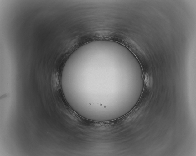 X0000112361107200908271247