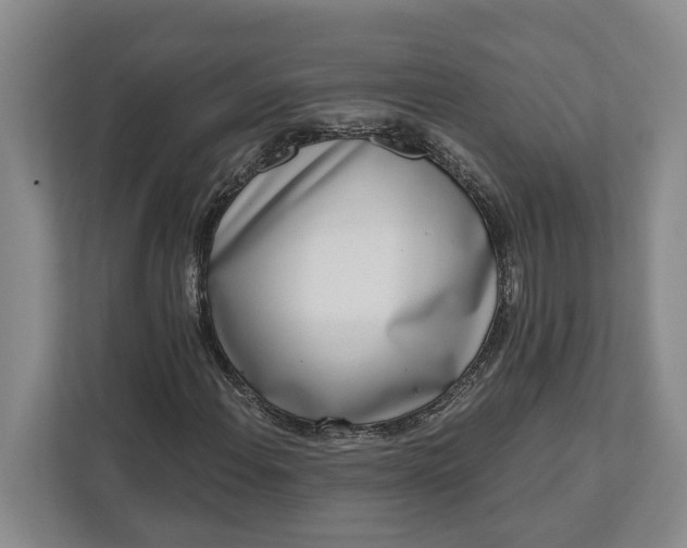 X0000112361108200908271247