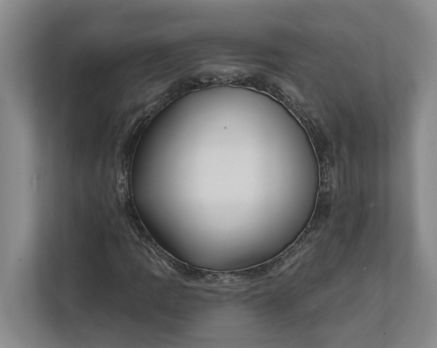 X0000112361109200908271247