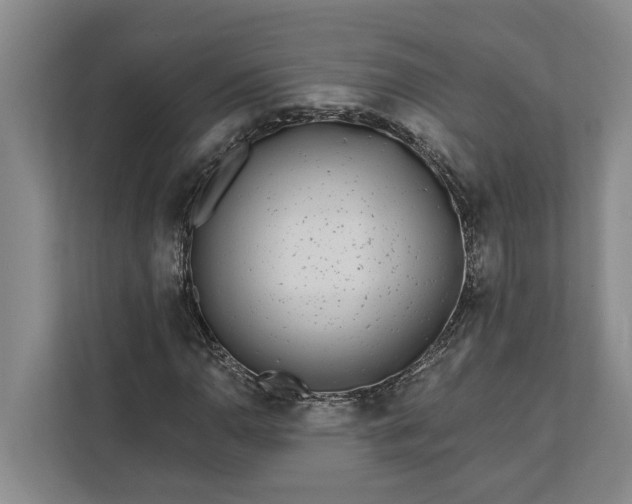 X0000112361110200908271247